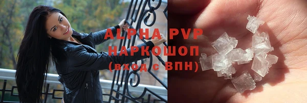 прущие грибы Абинск