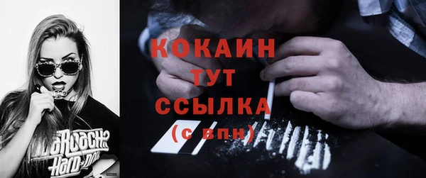 прущие грибы Абинск