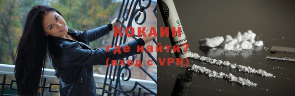 прущие грибы Абинск