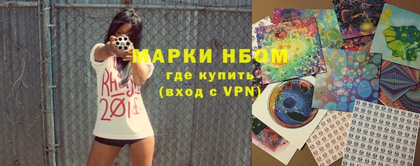 прущие грибы Абинск
