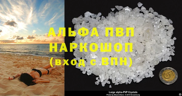 прущие грибы Абинск