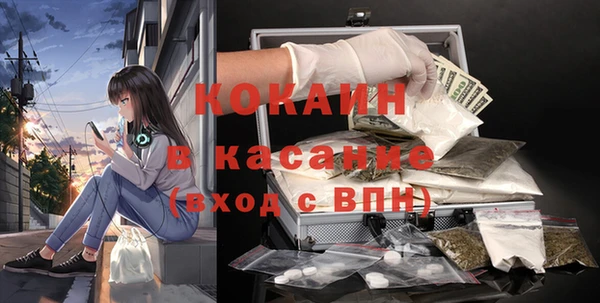 прущие грибы Абинск