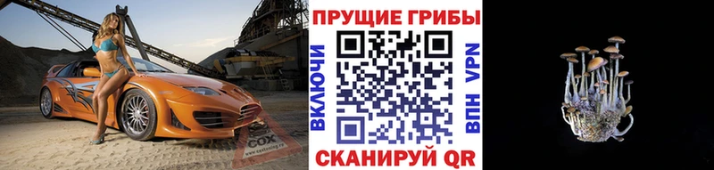 Галлюциногенные грибы MAGIC MUSHROOMS  Питкяранта 